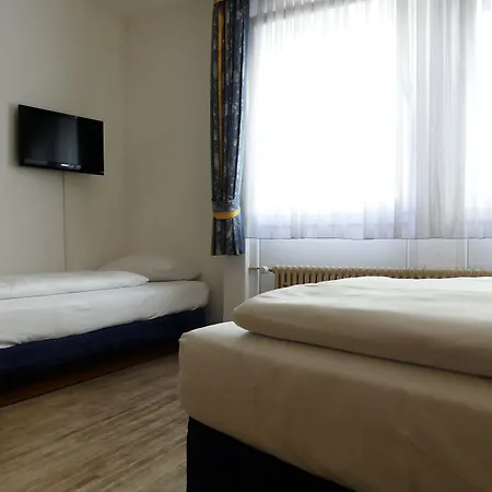 ケーニヒスホーフ ジ アートハウス ホテル 3*