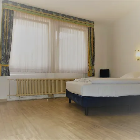 ケーニヒスホーフ ジ アートハウス ホテル 3*