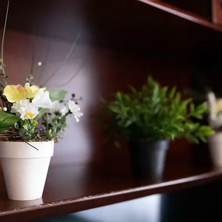 ケーニヒスホーフ ジ アートハウス ホテル ケルン