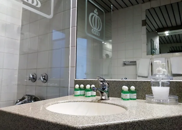 酒店 艺术宫廷酒店 科隆