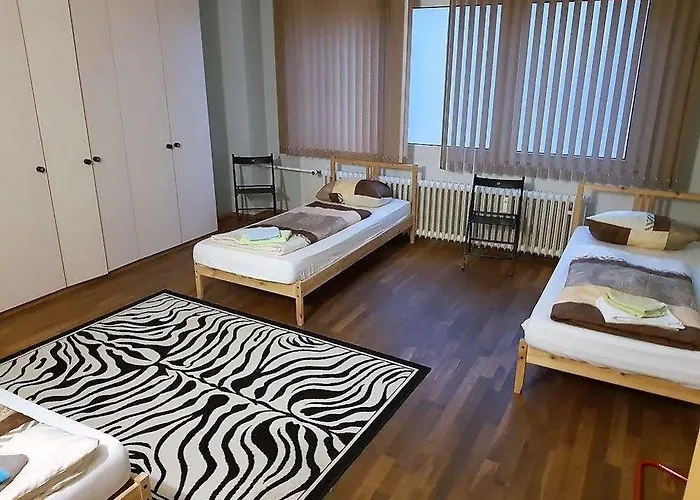 酒店 艺术宫廷酒店 3*