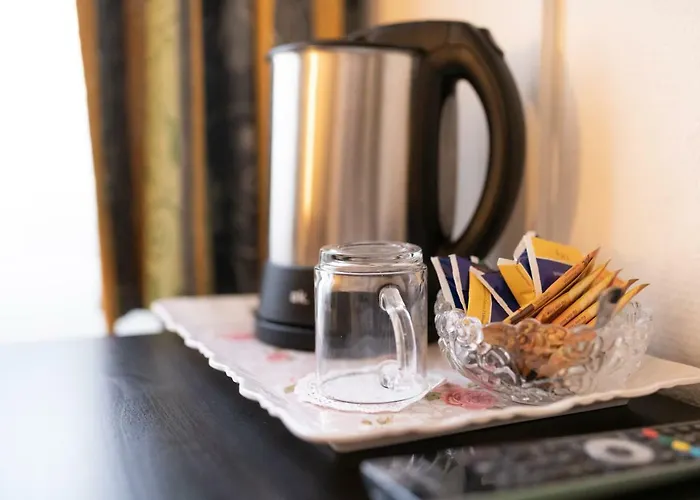 酒店 艺术宫廷酒店 3*