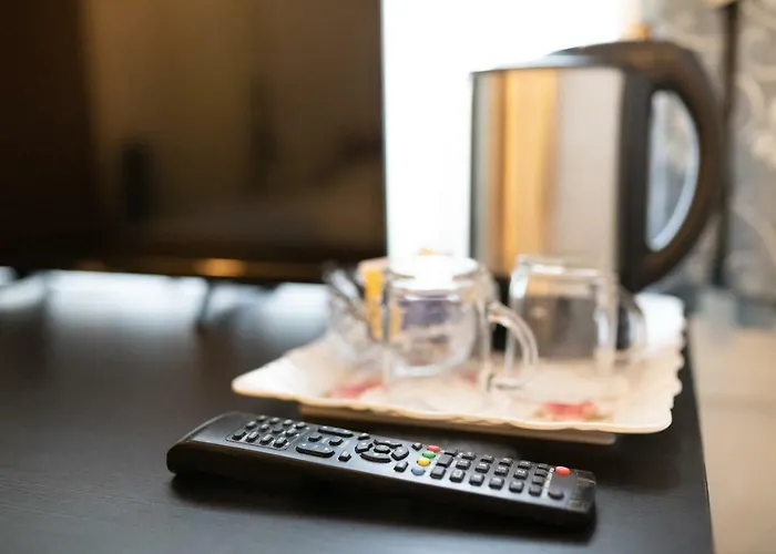 艺术宫廷酒店 科隆