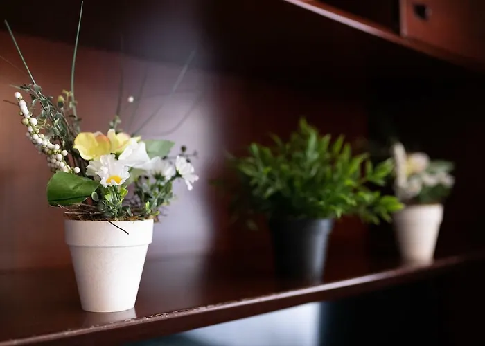 Koenigshof The Arthouse Szálloda Köln